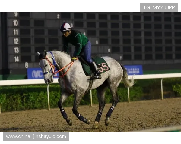 澳门赛马最新消息公布2024年赛马奖金分配及赛事影响分析